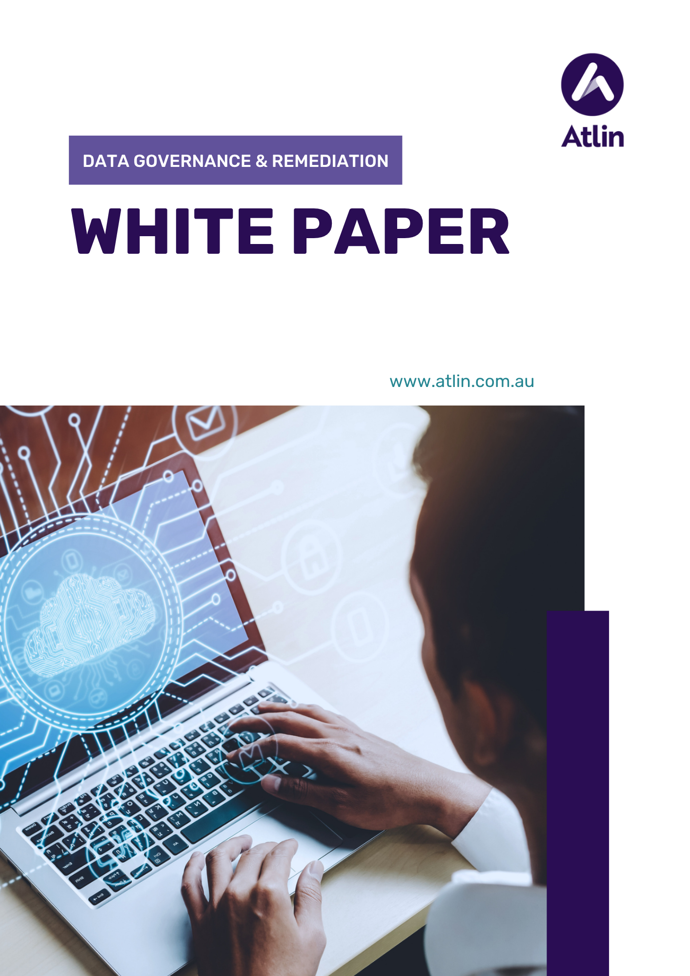 Data Governance & Remedaition White Paper